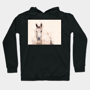 Horse Portrait Hoodie